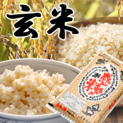 【感動の米】  福井産コシヒカリ玄米 5kg　＜残留農薬ゼロ＞