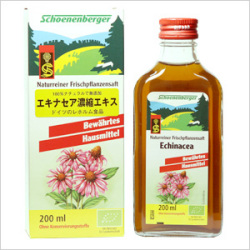 【パッケージ変更の可能性あり】 エキナセア濃縮エキス 200ml 100%天然無添加ハーブ製品