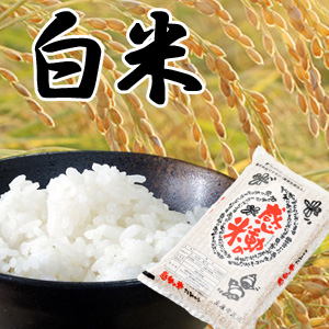 【感動の米】  福井産コシヒカリ白米 5kg　＜残留農薬ゼロ＞