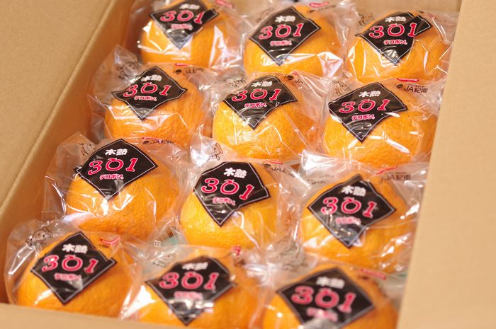 木熟301デコポン販売 紀南のデコポンを通販で取り寄せ。約3ｋｇ 約12〜15玉