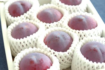 貴陽（きよう）プラム通販 きようすもも李を御中元に販売取寄。約7玉〜約10玉 山梨・他産地