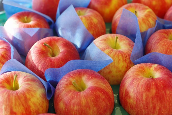 シナノドルチェりんご取寄販売 長野オリジナルシナノリンゴを通販で。約5ｋｇ 約14玉〜約20玉 長野県産