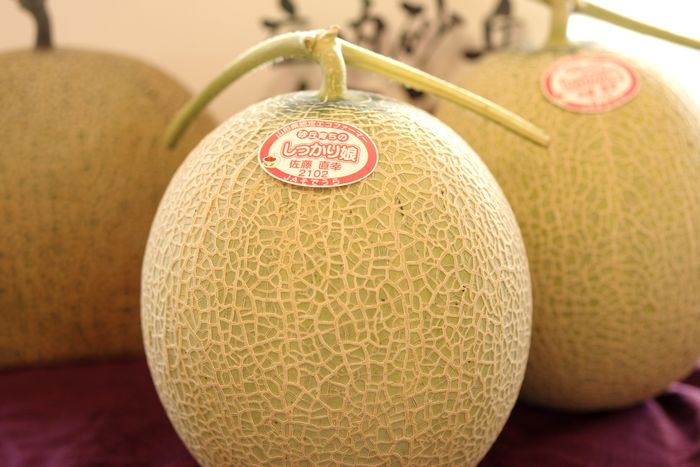 庄内砂丘メロン通販 しっかり娘 (赤肉) 糖度16度以上 2玉入販売 山形県そでうらメロン