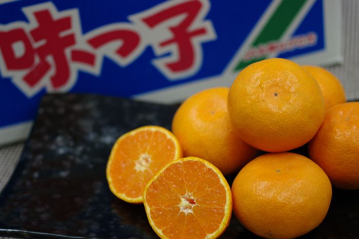 味っ子みかん通信販売 長崎県ＪＡ西海産をお歳暮長崎みかんに 糖度13度以上
