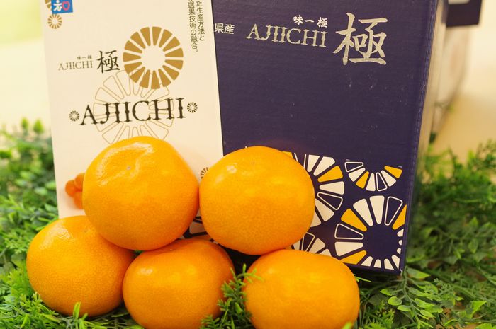 味一みかん「極み」糖度15度以上 化粧箱 約12玉〜約15玉 和歌山県