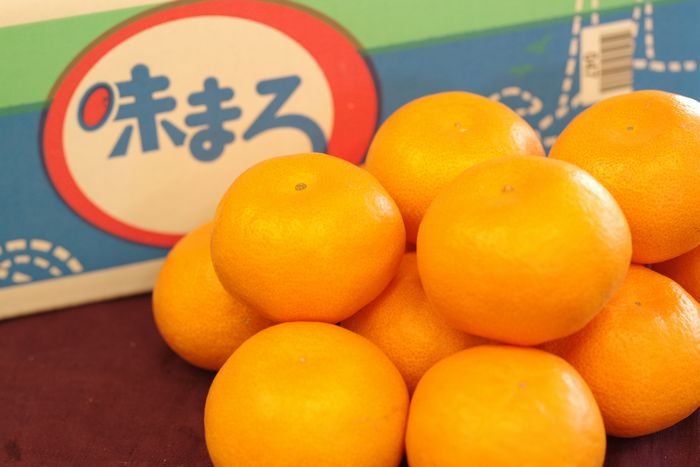 まるみかん まるみかん まるみかん