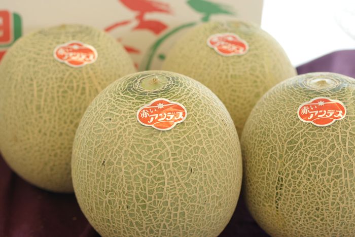 赤いアンデス通販 庄内砂丘アンデスメロン 山形県産 3玉〜6玉