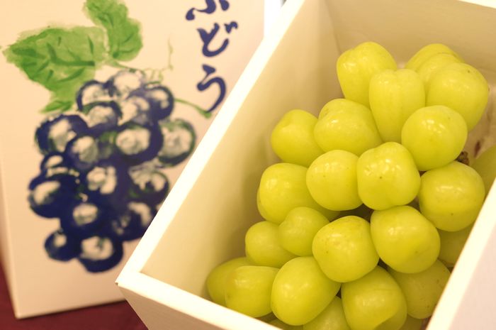 ポム　雄宝（ゆうほう）　1房×2箱　美味しい葡萄園 2箱分 雄宝（ゆうほう）ぶどう2房入1.8キロ以上 薄皮ジューシー