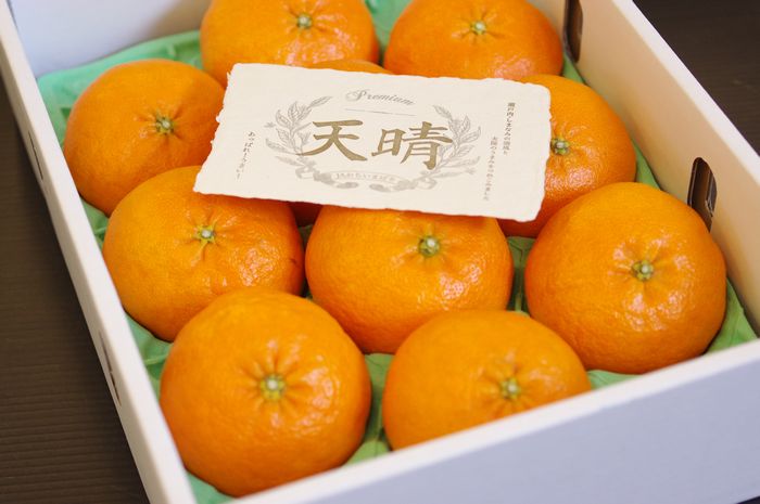 甘平（かんぺい）premium天晴 糖度13度以上！約8玉〜約