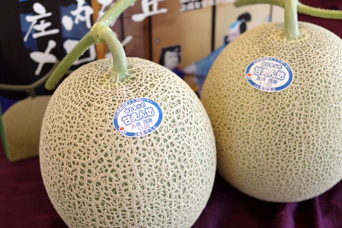 庄内砂丘メロン通販 甘えん坊 (緑肉) 糖度16度以上 2玉入販売 山形県そでうらメロン