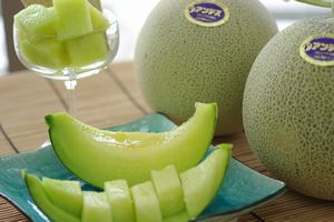 庄内アンデスメロン通信販売 山形産。砂丘ネットメロンを販売取寄