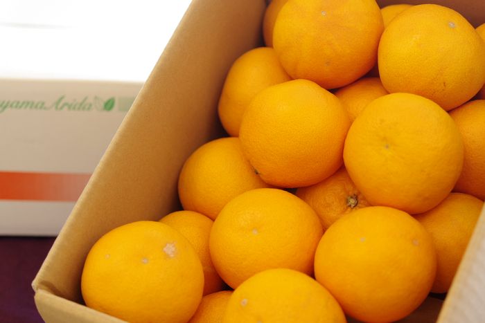 春峰しゅんぽう通信販売 和歌山育成品種の春みかん。和歌山県・他産地 5kg