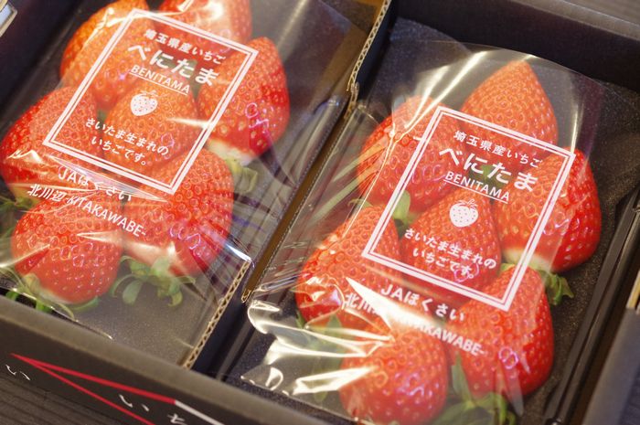 べにたま いちご 埼玉県の苺 約250ｇ×2P