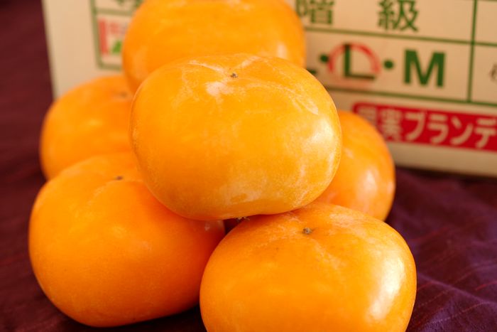 ブランデー脱渋 庄内柿 特別栽培　山形県産  約2.5ｋｇ　約11玉〜約14玉