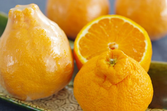 長期熟成しらぬいデコポン通販 御中元 御中元 初夏に味わえる特別な柑橘を販売取寄。福岡県・佐賀県
