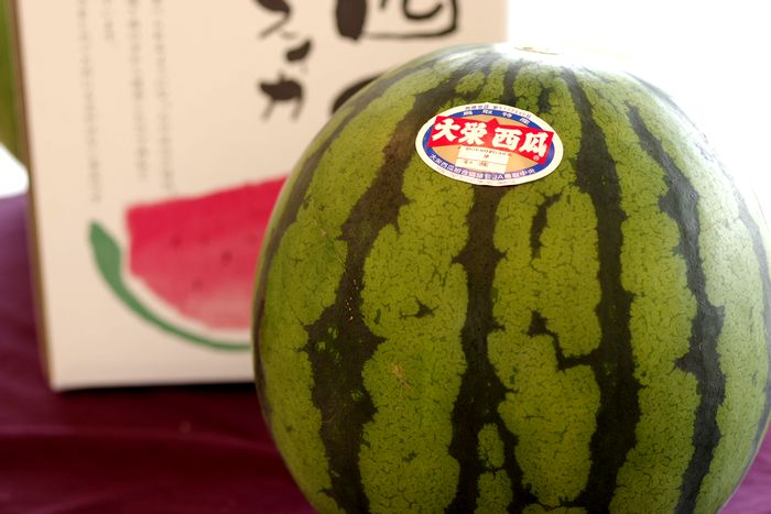 大栄西瓜通販。鳥取県大栄西瓜組合協議会 Ｌ〜4Ｌ 1玉