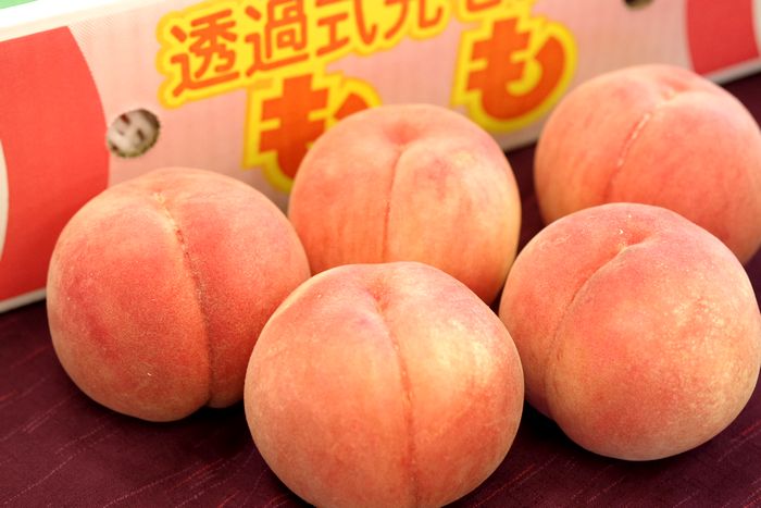 福島桃最上等級【天】通販 糖度約13.5度のももを販売取寄。