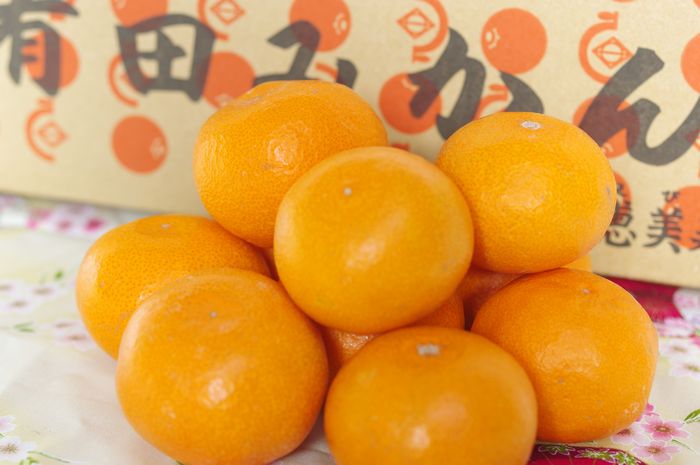 恵比寿屋みかん通販 和歌山有田みかん 5kg S〜L