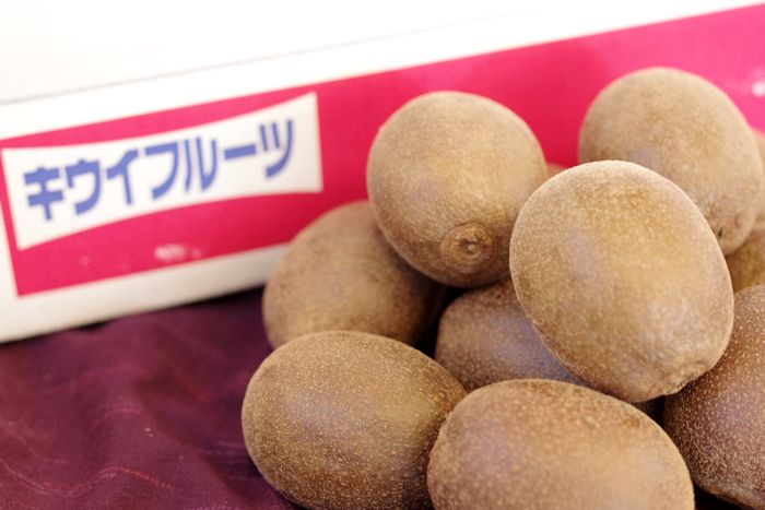 さぬきエンジェルスイート香川県販売 キウイフルーツ香川県産を通販取寄せ