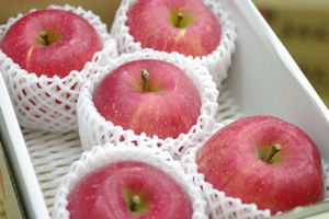 りんご 蜜たっぷり！芳醇な香りと甘さの「幻のりんご」を今年も期間限定販売