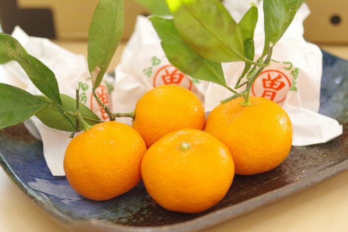 ふるーつ物語みかん通販 香川県マル曽の越冬みかん販売 第一回全国環境保全型農業推進コンクール奨励賞授賞
