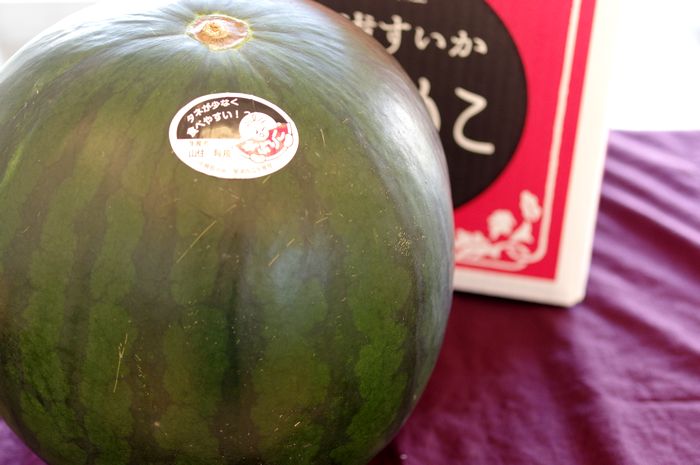 がぶりこスイカ 黒皮・ほぼ種なし・果肉は赤色 Ｌ〜4Ｌ　1玉入 鳥取県