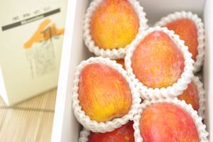 月光（げっこう）プラム通信販売 幻のすもも李を販売取寄。山梨県産・他産地 特撰 糖度約16度 約8玉〜約10玉