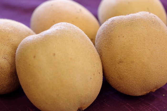 さぬきゴールドキウイフルーツ販売 香川県産を通販取寄せ 国産のゴールドキウイ 糖度13・5度以上