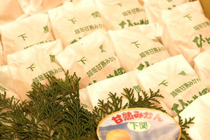 ひとめぼれみかん販売 山口県下関越冬甘熟みかんを通販で取り寄せ 約4ｋｇ 2S〜M 約45玉〜約60玉