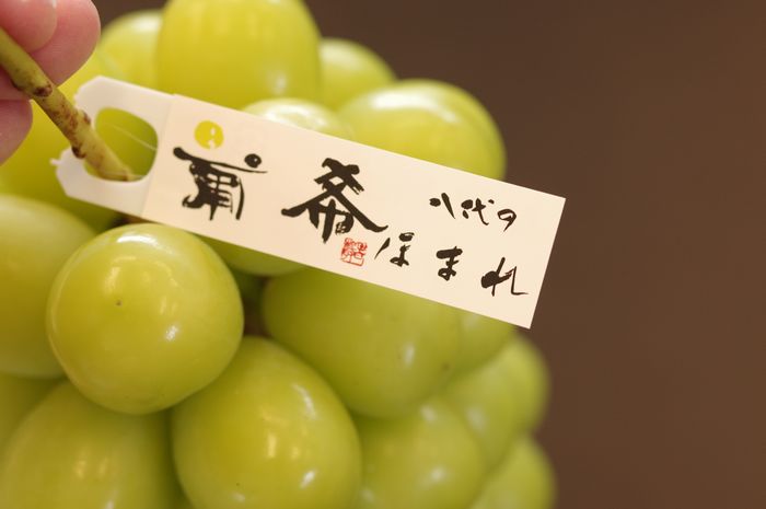八代の葡希ほまれ 最上級 シャインマスカットぶどう通販 JAふえふき八代