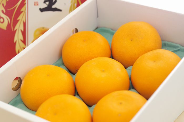 豊王(ほうおう)大分県新品種柑橘　約3ｋｇ 約6玉〜約15玉 大分県産