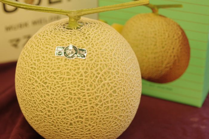 s*9様 【本日限り】マスクメロン一果相伝・高知県・夜須・篤農産／三越伊勢丹 一果相伝メロン マスクメロン高知県