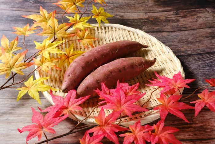 里むすめ通販 徳島県 さつまいも 品種 なると金時 販売 5ｋｇ Ｍ〜Ｌ 約18本〜約24本 Ａ品　501
