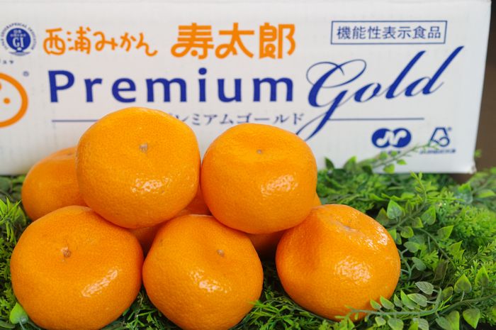 みかんさま 玉宝ブランド」＜せとか＞3kg＜E64-47＞_ みかん せとか 蜜柑