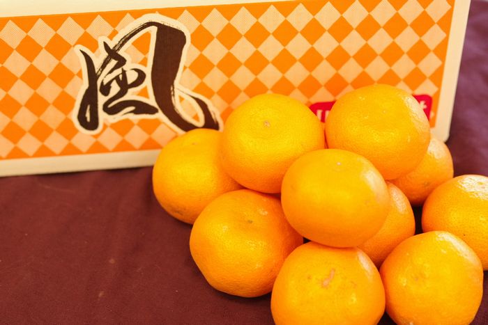 風みかん通信販売 愛媛県川上共選ブランドをお歳暮愛媛みかんに 糖度約12度 約5kg
