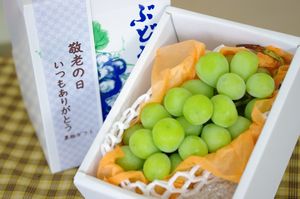敬老の日シャインマスカット葡萄ギフト通販 おじいちゃん・おばあちゃんに果物プレゼント。1房