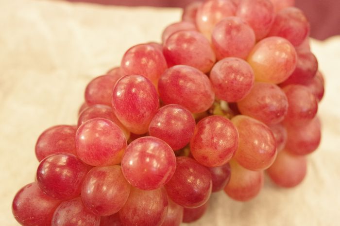 コトピーぶどう　1房　山梨・他産地