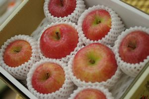 高徳りんご（こうとく林檎）通販 蜜たっぷりの林檎を販売取寄。約8玉〜約10玉