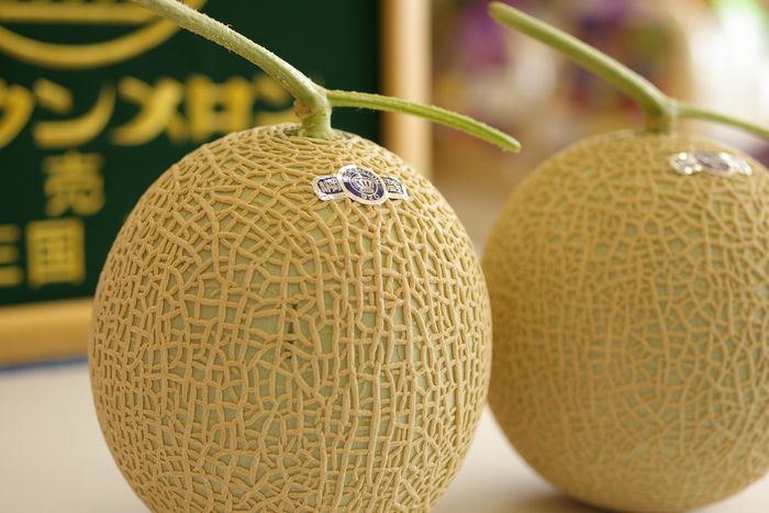 「等級 山」2個　クラウンメロンお歳暮・お中元販売 通販で静岡県産のマスクメロン　