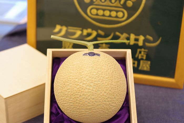 桐箱1玉入 クラウンメロンお歳暮・お中元販売 通販で静岡県産のマスクメロン最上級「等級 富士」 お取り寄せ 慶事用・仏事用のメロンギフト。入手困難な為かなりお待たせしまいます