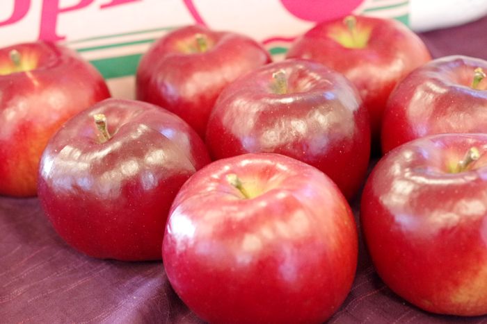 紅の夢りんご販売(果肉が赤いリンゴ通販) 料理加工用に取寄せ！パティシエ製菓店御用達の林檎ご品種 11月上旬頃 5kg 約12玉〜約16玉