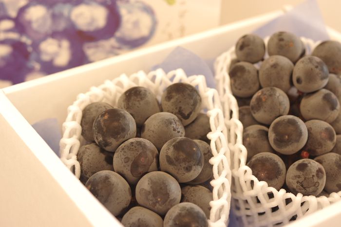甲斐のくろまるぶどう通販 山梨県の黒系品種葡萄 お取り寄せ販売 約1ｋｇ　約2房