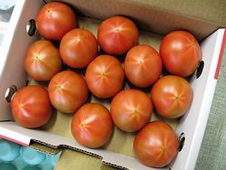 アメーラトマト【高糖度とまと】 約10個～約20個 【静岡県産及び長野県産】