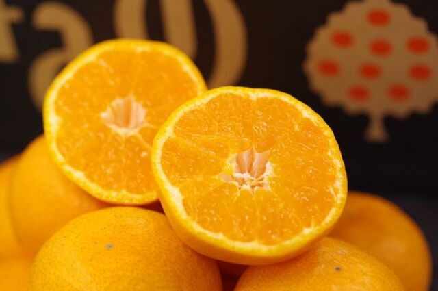 みかん年末年始到着「12/26から1/1までに到着します」高糖度12度以上 各名産地の銘柄 S~Lサイズ