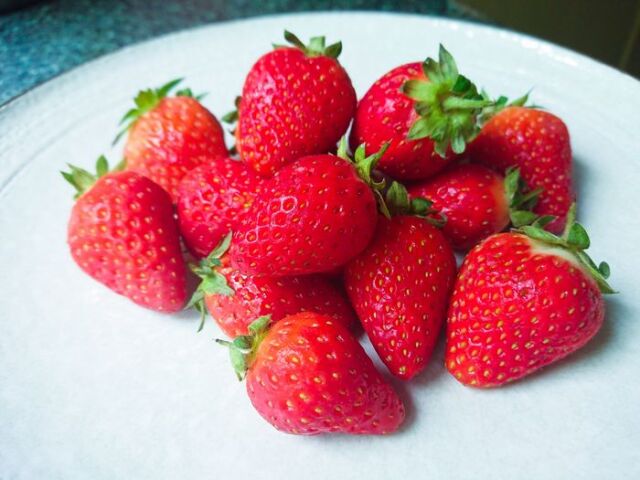 ミガキイチゴ「シルバー 苺」3Ｌサイズ×2Ｐ入で約600ｇ 宮城県産 いちご