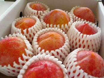 秋姫（あきひめ）プラム通販 山形県 初秋が旬のすすももを販売取寄　約10玉前後
