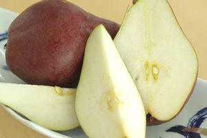 スタークリムソンペアー 西洋梨 小箱 約5玉 約6玉 山形県産