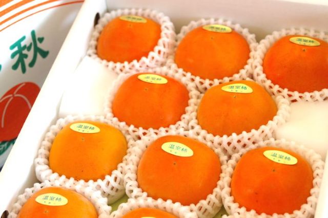 新秋柿（しんしゅうがき）通販販売 和歌山温室栽培で糖度約18度の柿を販売取寄。約10玉〜約14玉 和歌山産