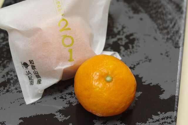 糖度15度越え！「菊みかん 木熟201 袋入 約1.2kg 12玉～15玉  紀南みかん 和歌山県 お歳暮ギフト