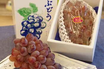 紫苑（しえん）葡萄通販 糖度約18度の岡山県冬ぶどうを販売。大房 1房 約750ｇ